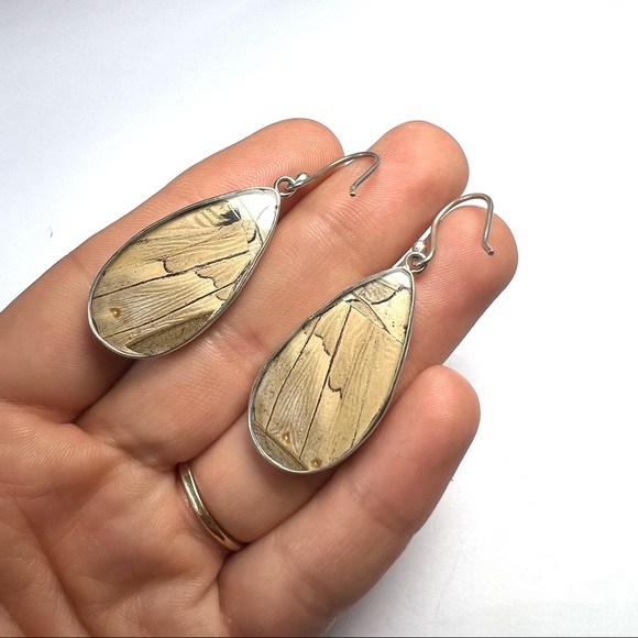 Super Pretty Real Blue Butterfly Sterling Silver Pendant and Earrings Set - Picture 9 of 9